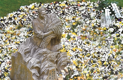 西南大學校園內的袁隆平院士塑像被鮮花圍繞。中新社記者 陳超 攝