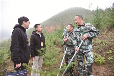 圖為福建省明溪縣紀檢監(jiān)察干部在林場查看當?shù)厣鷳B(tài)修復情況。許林瑋 攝