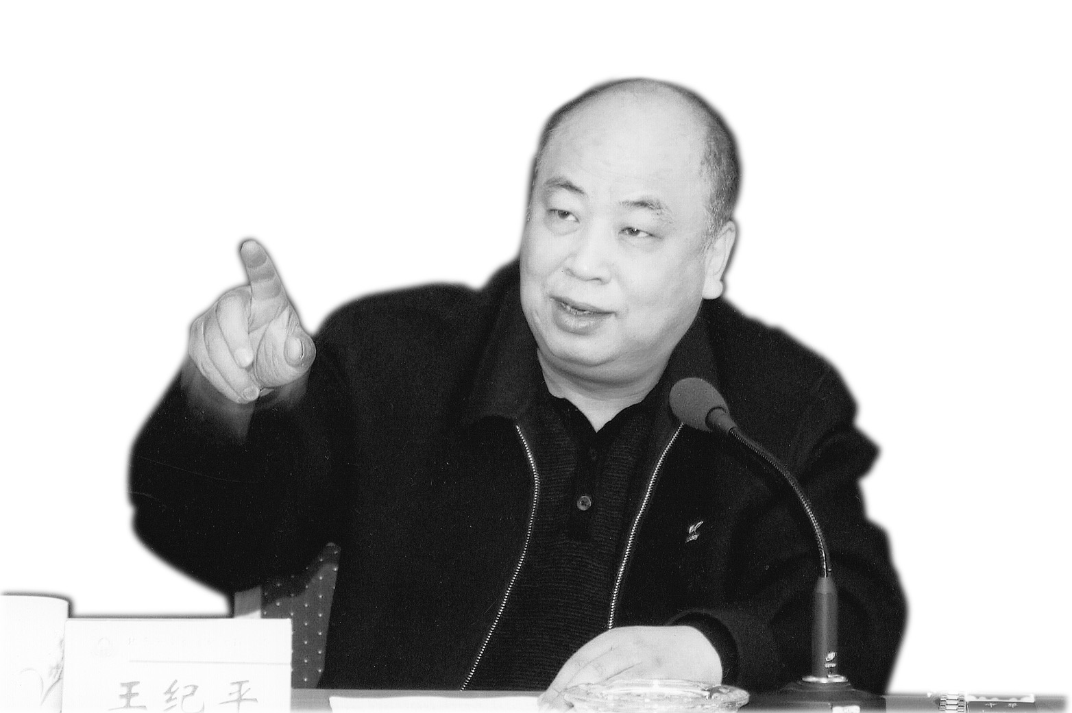 王紀(jì)平