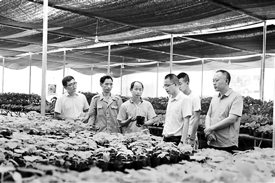 云陽縣聚焦扶貧資金管理使用和扶貧項目招投標(biāo)問題，啟動“以案四改”工作。圖為近日，縣紀(jì)委監(jiān)委干部到人和街道中興村督查油桐苗圃基地項目推進(jìn)情況。丁曉波 攝